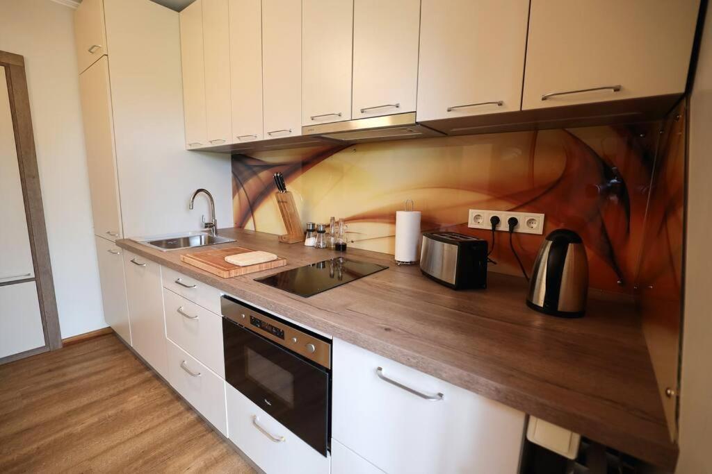 Greenland Apartments Cēsis Zewnętrze zdjęcie