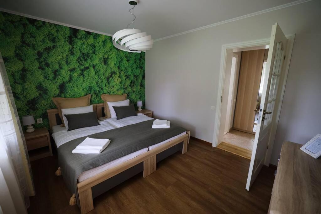 Greenland Apartments Cēsis Zewnętrze zdjęcie